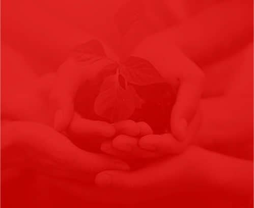 網(wǎng)絡公司盛世傳媒